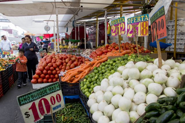 canasta_ba769sica-1_2